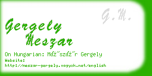 gergely meszar business card